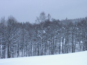 2001.12.16 11.06.21.jpg